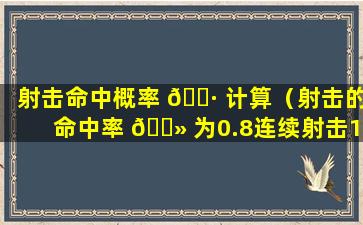 射击命中概率 🕷 计算（射击的命中率 🌻 为0.8连续射击10次x表示）